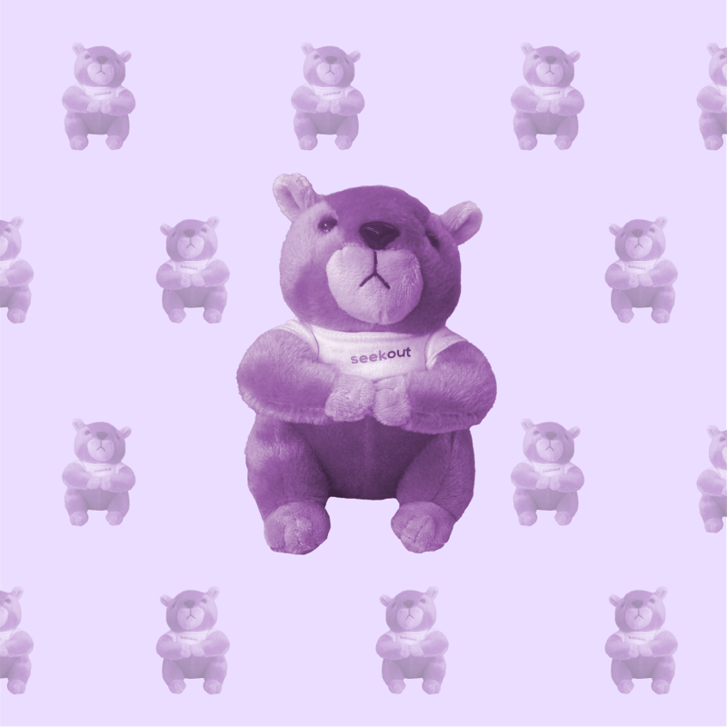 Seekout Squirrel Plushies! - image1